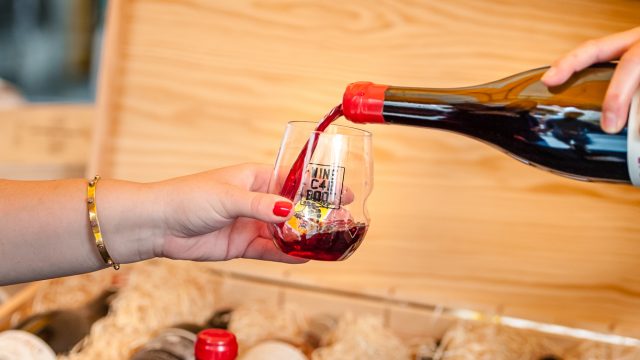 GOVINO2